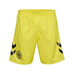 Hummel Denmark Goalkeeper Shorts 2023/24 Kids