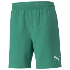PUMA Shorts TeamFINAL - Pepper Green