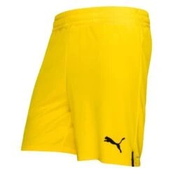 Puma Dortmund Cup Shorts 2022/23
