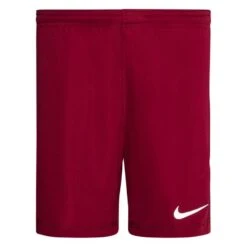 Nike Shorts Dry Park III - Team Red/White Kids