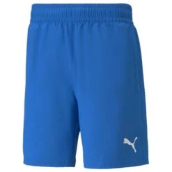 PUMA Shorts TeamFINAL - Blue