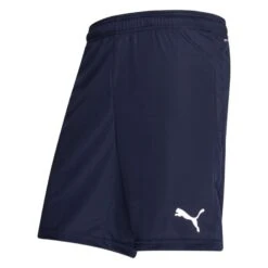 PUMA Football Shorts TeamGOAL 23 - Navy