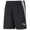 Puma TeamLIGA Training Shorts Jr