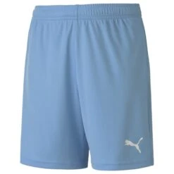 Puma TeamGOAL 23 Knit Shorts Jr