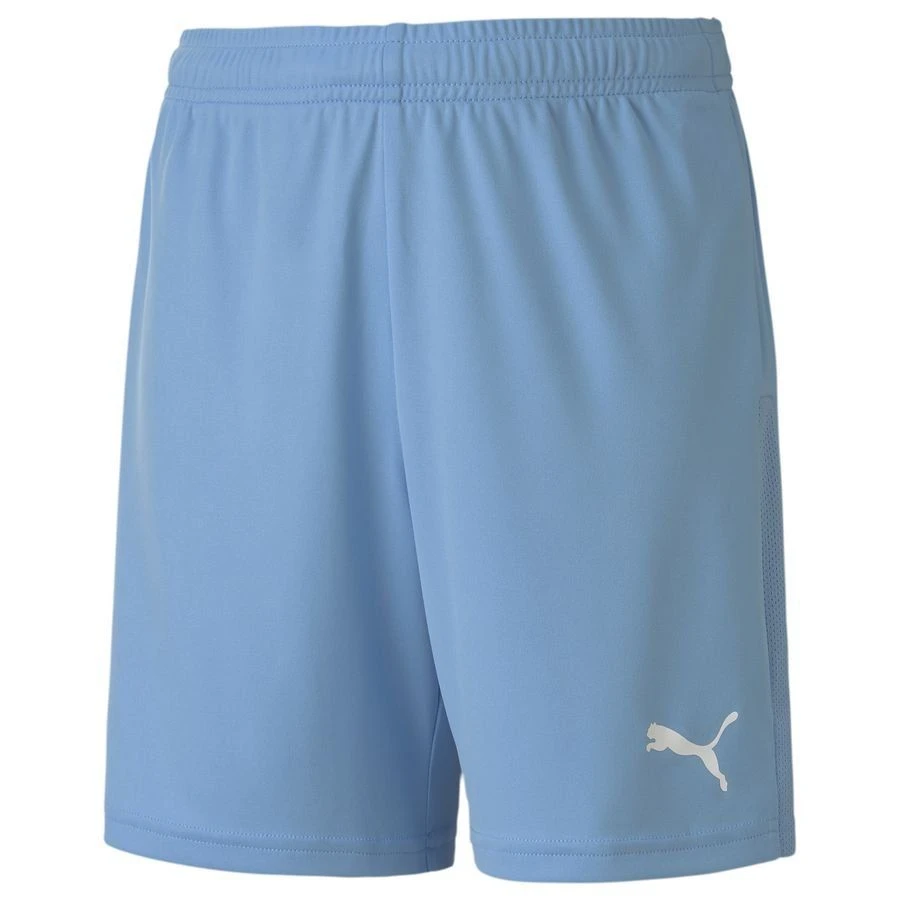 Puma TeamGOAL 23 Knit Shorts Jr