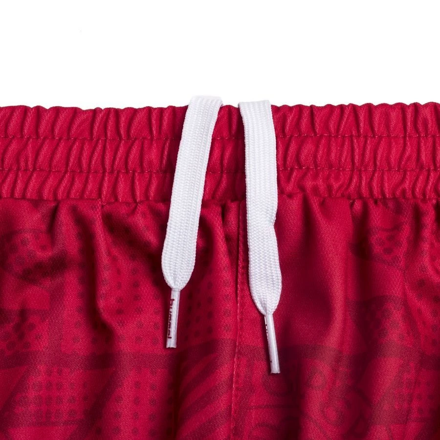 Hummel Denmark Home Shorts 2023/24 Woman - Image 2