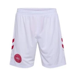 Hummel Denmark Home Shorts 2023/24 Kids