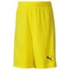 PUMA Football Shorts TeamGOAL 23 - Cyber Yellow Kids