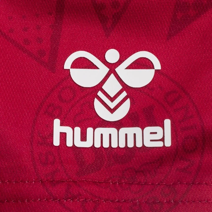 Hummel Denmark Home Shorts 2023/24 Woman - Image 3