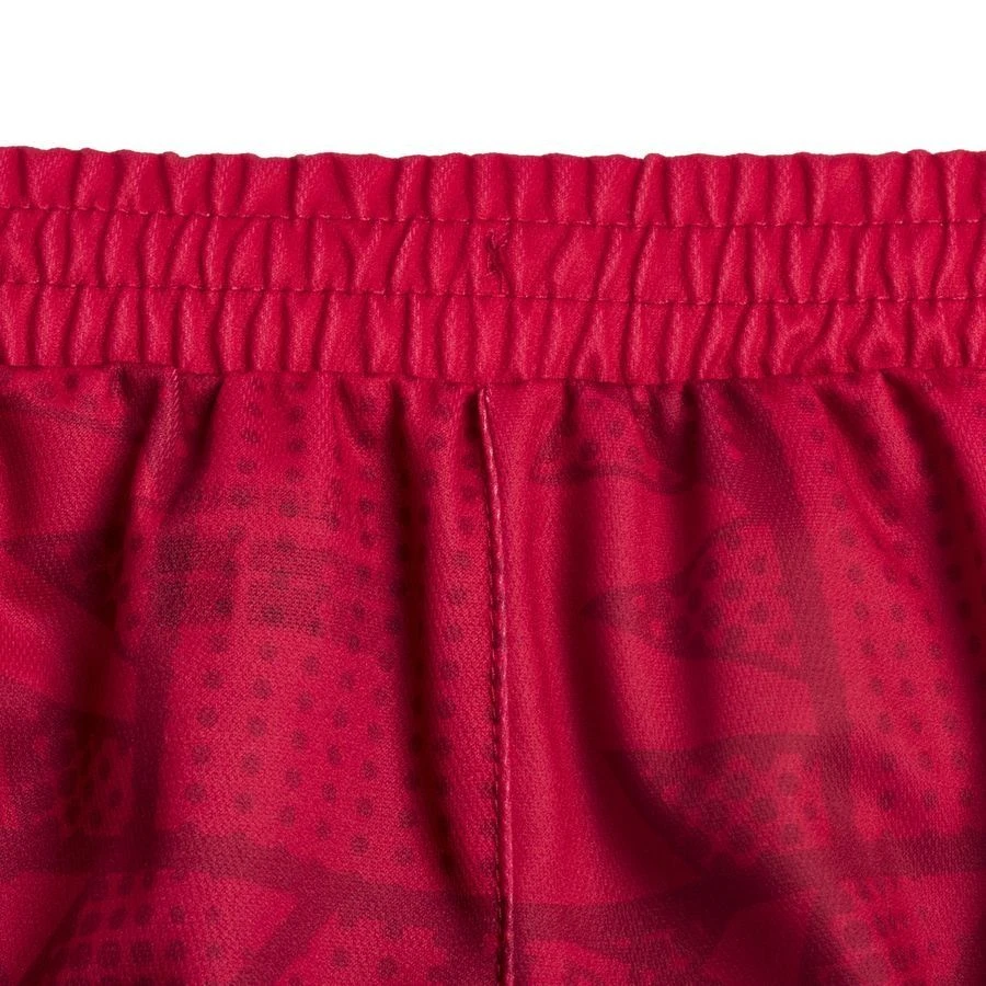 Hummel Denmark Home Shorts 2023/24 Woman - Image 5