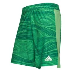 Adidas Goalkeeper Shorts Condivo 21 Primeblue - Green